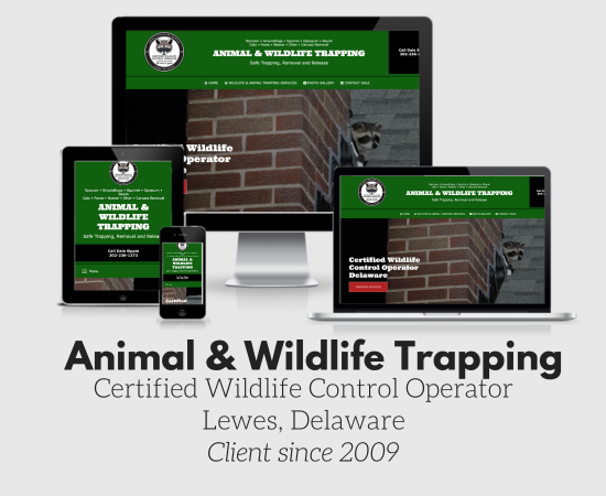 wildlife trapper and removal